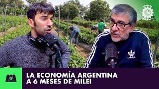 LA ECONOMÍA ARGENTINA CON SEIS MESES DE MILEI | ALE BARRIOS CON PEDRO ROSEMBLAT