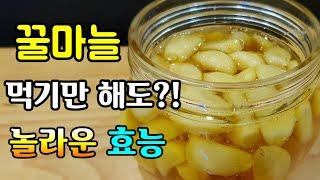 꿀마늘 그 놀라운 효능! "면역력 증진에 좋은 마늘과 꿀을 동시에" healthy food for garlic and honey