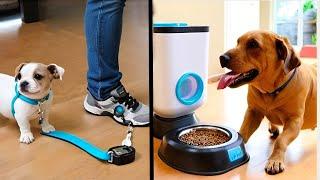 50 CLEVER Amazon Gadgets For Your Pets In 2024