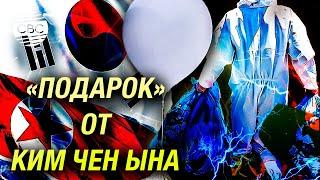 В президентском комплексе в столице Южной Кореи приземлился воздушный шар с мусором