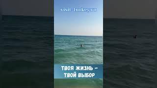 Продажа и аренда жилья на Северном Южном Кипре. #кипр #северныйкипр #недвижимостькипр #недвижимость