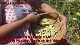 Vivi's Kitchen Garden 218: Back to reality, back to my garden.