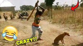 Crazy Funniest Videos Ever In The World ( Part 35)