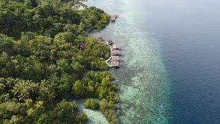 Raja Ampat Travel Guide Part I - Travelling Raja Ampat - Methos Homestay 2023