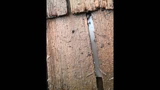 Cedar Roof Proper Repairing