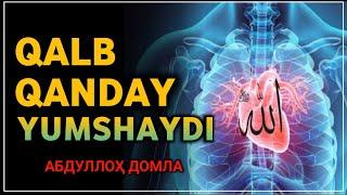 Абдуллох Домла ~ Қалб Қандай Юмшайди | Abdulloh Domla ~ Qalb Qanday Yumshaydi ?