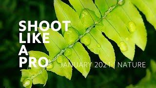 #ShootLikeAPro: Nature