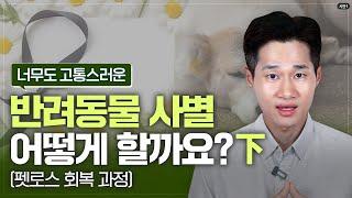 사랑하는 반려동물과 사별하게 되었다면 이렇게 대처해보세요. 3,4단계(4단계 中). 펫로스증후군