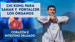 Como SANAR  Y FORTALECER  tus órganos con ejercicios de Chi Kung (CORAZON E INTESTINO DELGADO)