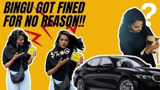 Bingu got fined for no reason! | Meeting a beauty influencer | German Tamil