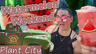 Watermelon Weekend: Seed-to-Slice in Plant City!