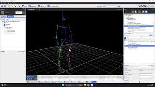 Modelling with CGM2 in Vicon Nexus