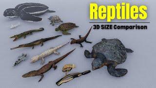 "3D Reptiles Size Comparison 2024 | World’s Largest Reptiles Revealed!"