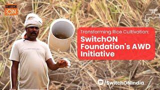 Transforming Rice Cultivation: SwitchON Foundation's AWD Initiative