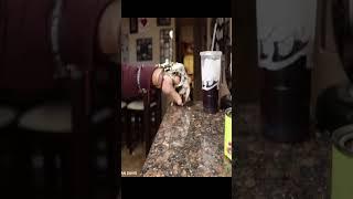 Ian Davis Mechanical Hand