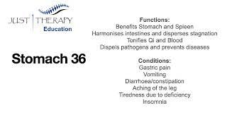 ST36 acupuncture point