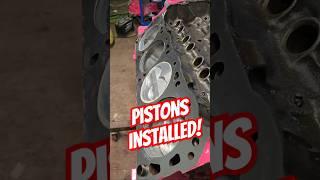 Project Cheap Street Pistons! #ford#302#5litre#v8#ranger#engine#crankshaft#pink#smallblock#sbf