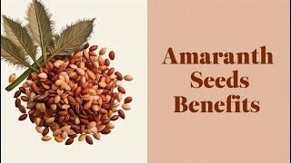 top 5 amazing health benefits of Amaranth Seeds