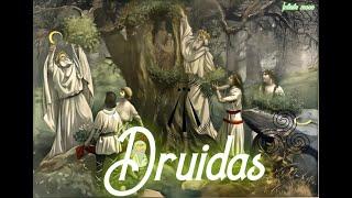 Druidas quien son/|\‍️ #druida #alquimia