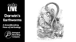 Darwin's Earthworms: A Groundbreaking Piece of Soil Ecology