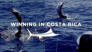 Winning In Costa Rica - Billfish Gear