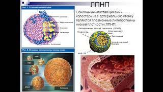 Лекция № 9 для студентов 3 курса лечебного, педиатрического факультетов и МПД