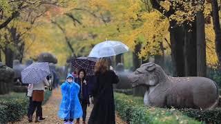 Mingxiaoling, the historical place in Nanjing.