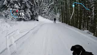 ️️ Nice little slope (️) and forest trail in Winterberg - Skiing down from Herrlohkopf (733m)