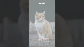 #beforeafter #beforeandafter