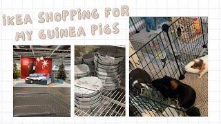 IKEA Shopping for my Guinea Pigs ft. TOFTBO Bath Mat & TIPHEDE Rug