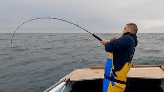 Sea Fishing UK - Coastal Fishing in Cornwall - I have never seen this before!!!  | The Fish Locker