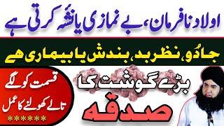 Jadu Nazar e Bad Bimari Se Shifa Pane Ka Amal | Bary Gosht Ka Sadqa | Dr Hamed Shaafi | TALAASH