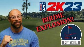 RD 2 Birdie Extravaganza - TGC Plat - Detroit Open | PGA 2K23