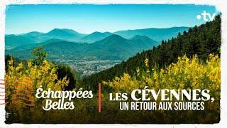 Les Cévennes, un retour aux sources - Échappées belles