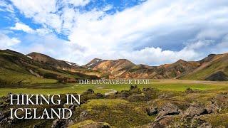 Hiking in Iceland - The Laugavegur Trail