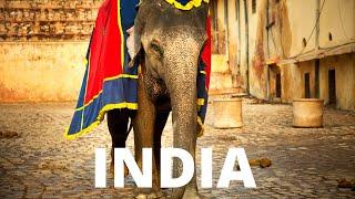 India, 12 Top Things To Do In India, Travel Hot List,