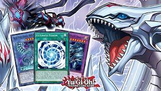 Blue-Eyes Can FINALLY Summon Dragon Magia Master With These NEW Cards! Yu-Gi-Oh!