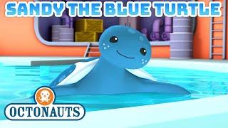 ​@Octonauts - Sandy the Blue Turtle | World Turtle Day  Compilation | @Kidzuko