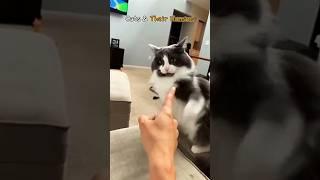 Cats & Their Humans