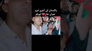 Imran Khan Ka Little Tiger  Abubakar Khan Marwat interview with Farhad khan