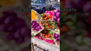 Как заработать на тюльпанах?
