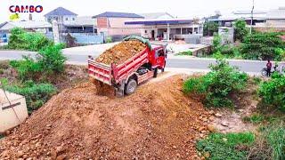 Nicely Job! Landfill by smart Driver skill Dozer KOMATSU D20P pushing soil with Dump Truck unloading