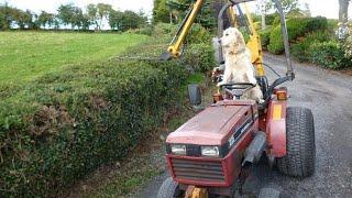 This Dog Loves Driving Tractors