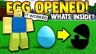 how to OPEN THE EGGS!! | Build a boat for Treasure ROBLOX