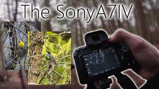 I BOUGHT THE SONY A7IV! POV bird photography | Vlog #9