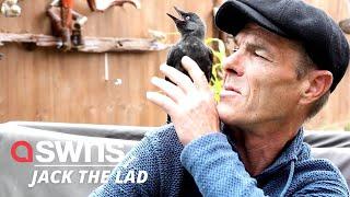 UK man and a jackdaw form an adorable bond - and even go on bike rides together | SWNS