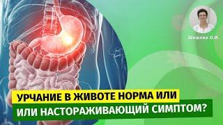 Урчание в животе норма или настораживающий симптом? [Шишова О.И.]