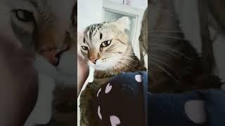 Наша любовь