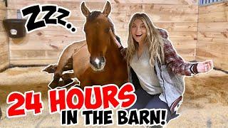 24 HOURS in My HORSE BARN Challenge *24 HOUR CHALLENGE*