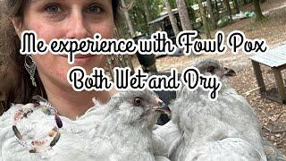 Symptoms and Treatments for FOWL POX **Wet & Dry**
